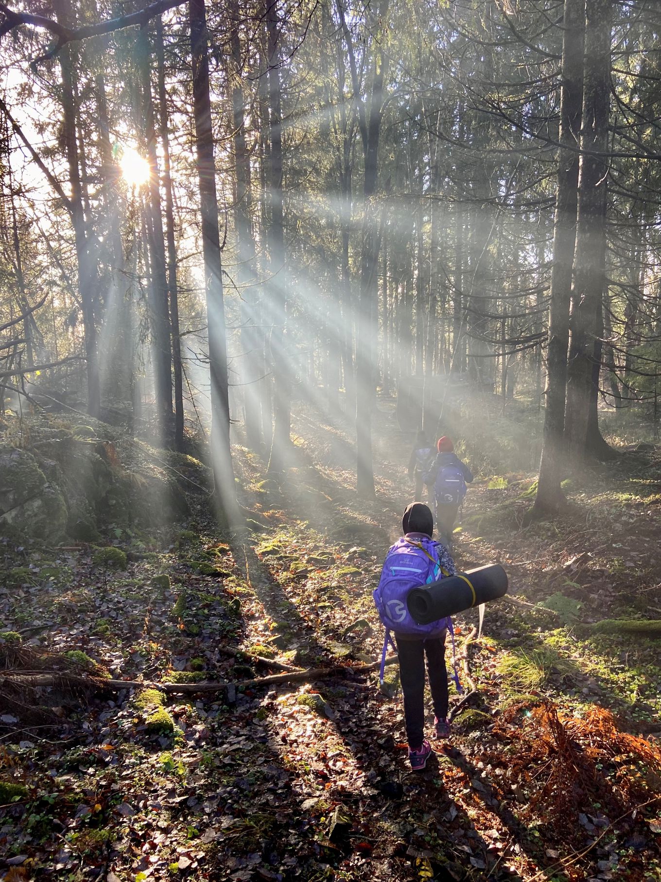 En gruppe mennesker på tur i skogen