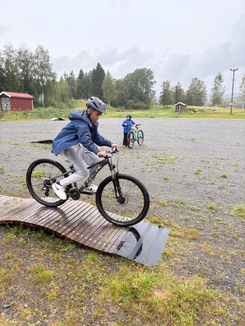 en person som sykler på en trerampe