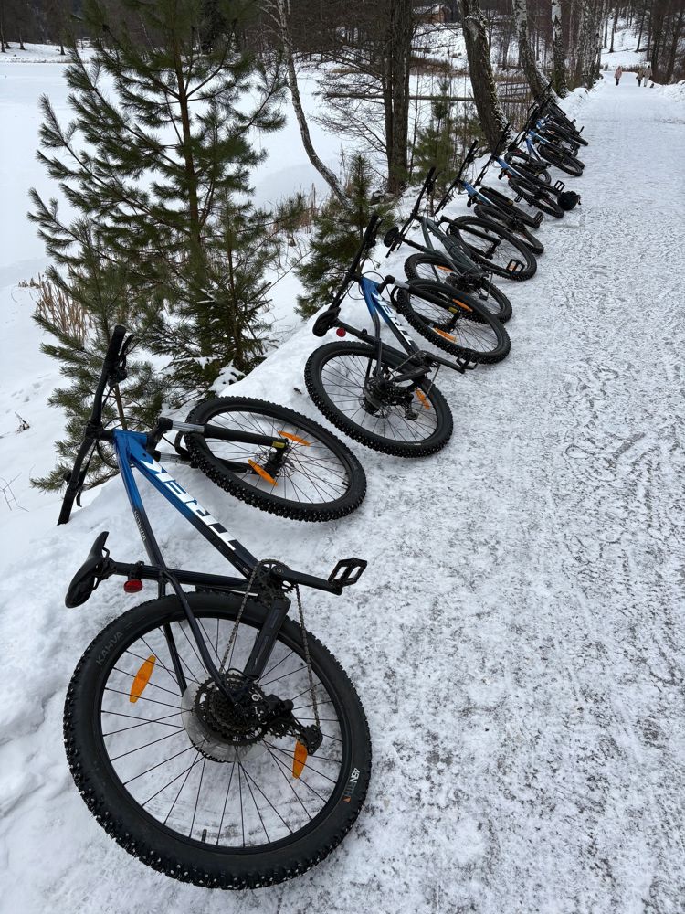 en gruppe sykler parkert i snøen