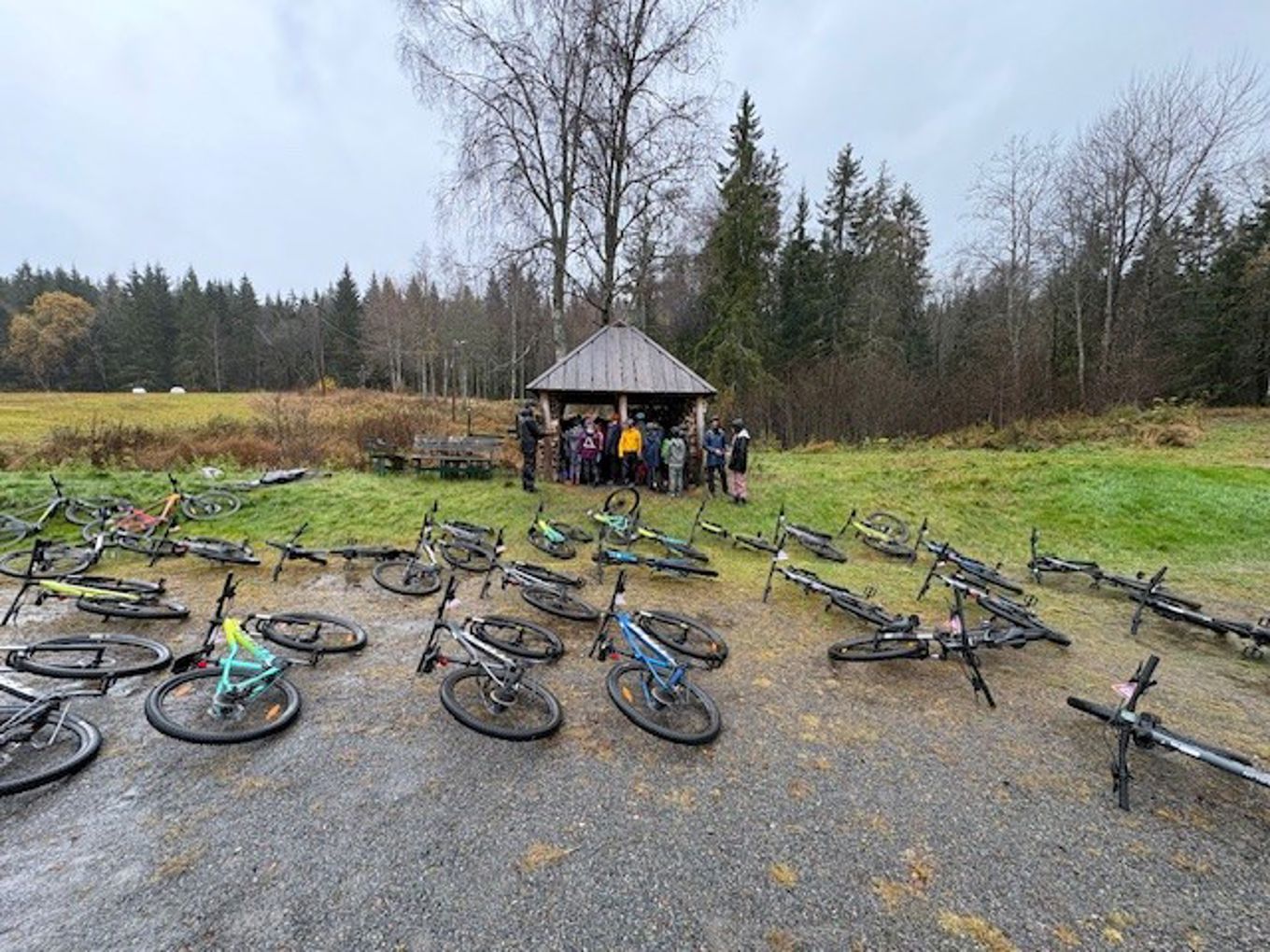 En gruppe sykler parkert ved veikanten