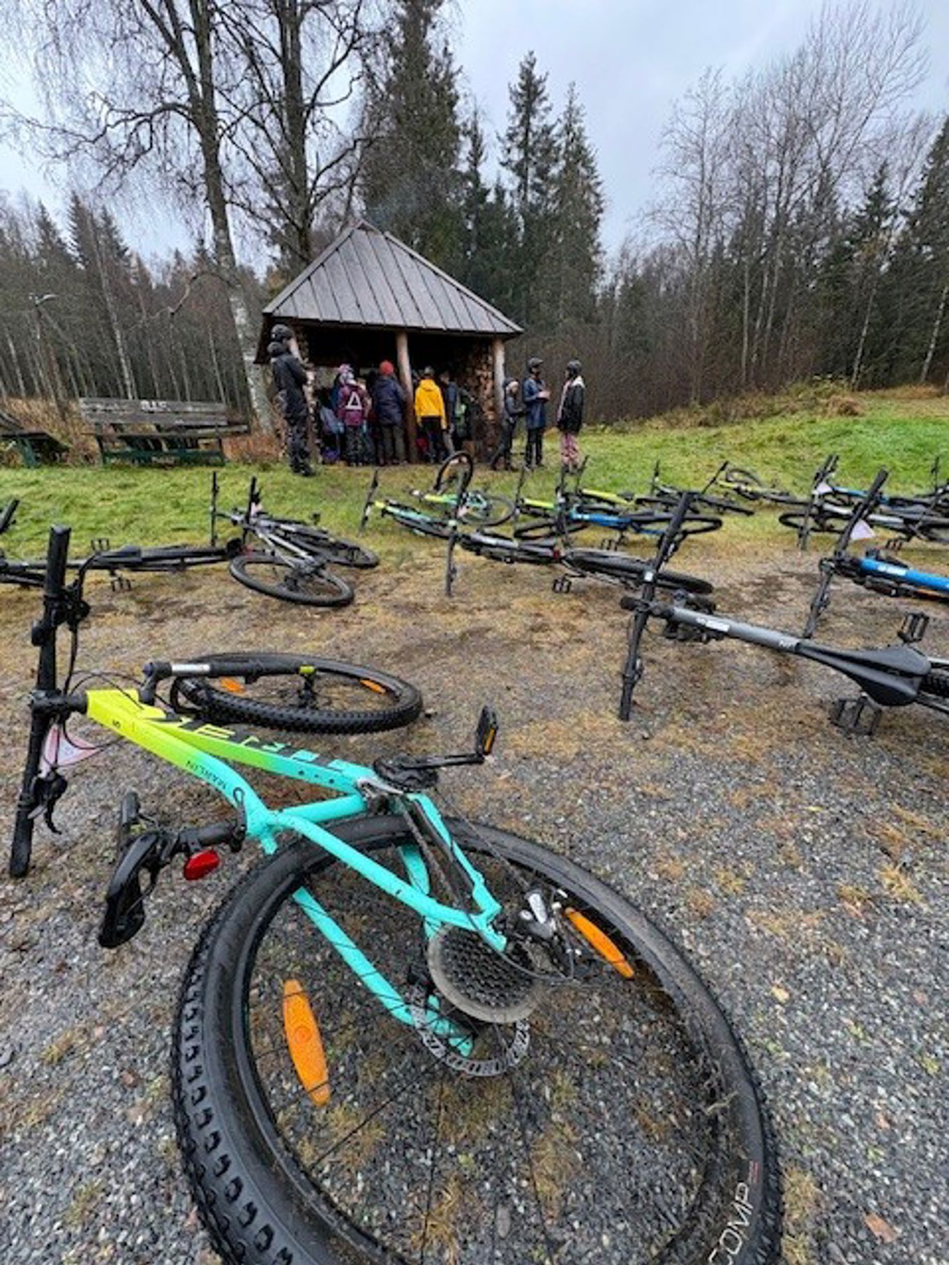 En gruppe sykler parkert på et gressområde med folk stående rundt