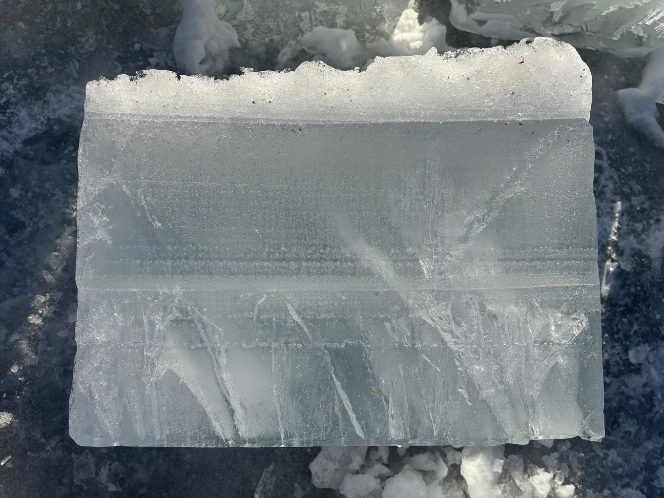 Ulike islag i isblokken