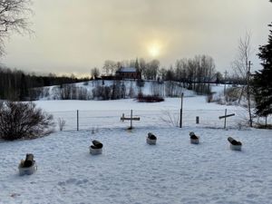 vinter