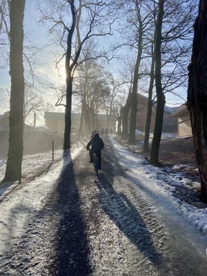 vinter